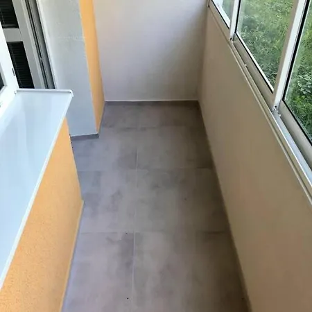 Zen - *